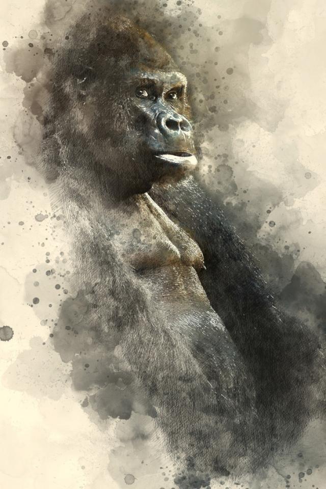 Gorila.jpg